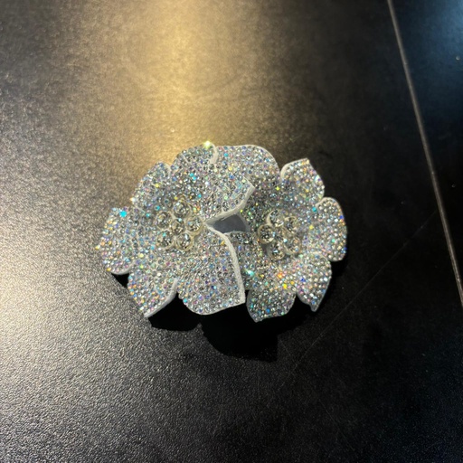 ACCESORIOS PARA ZAPATO