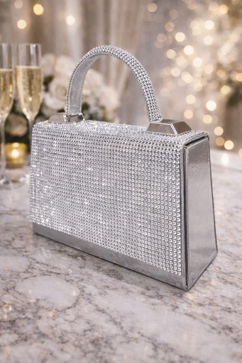 HBG105283 CARTERA GALA PLATEADO